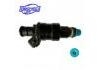 喷油嘴 Injection Valve:RIN-221